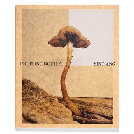 Ying Ang – Fruiting Bodies