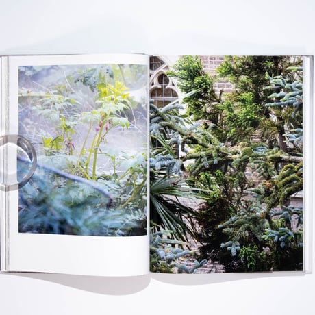 Ben Thorp Brown - Cura’s Garden