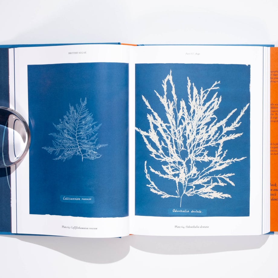 6ae402c94104d53b1bbc4ea0