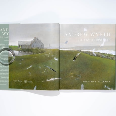 Andrew Wyeth: The Masterworks