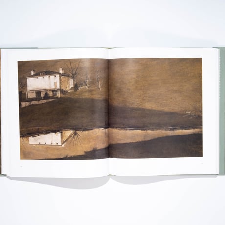 Andrew Wyeth: The Masterworks
