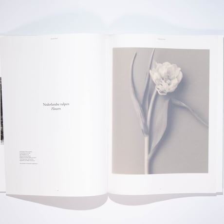 The Motif Magazine 003: The Earth Motif