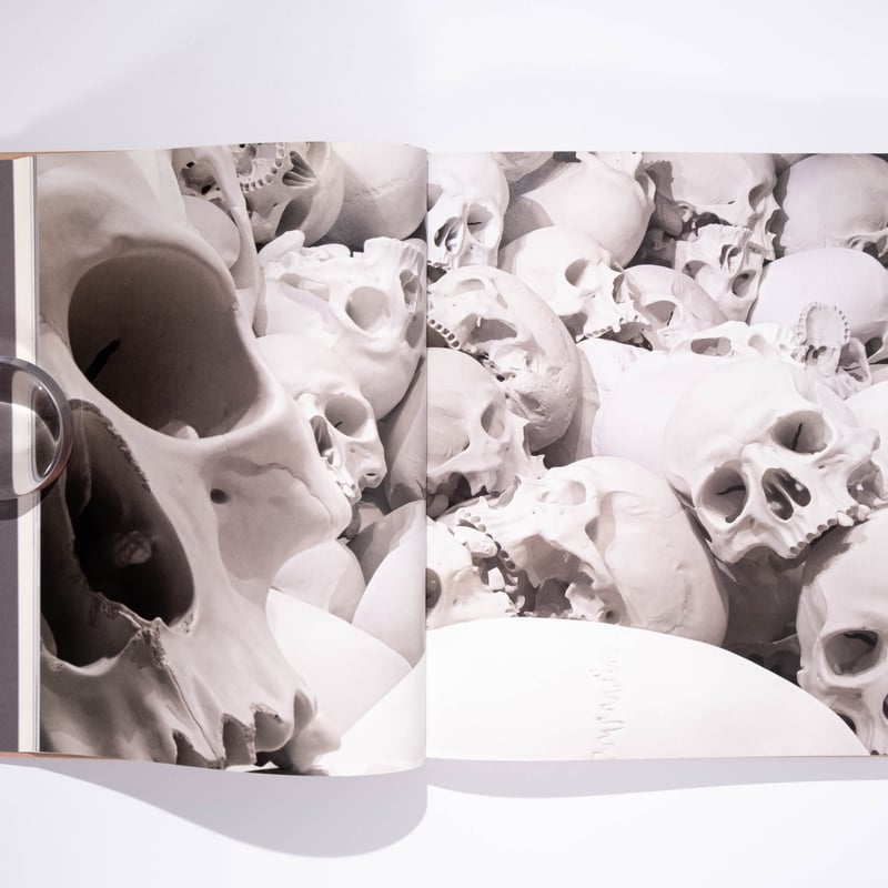 RON MUECK 作品集 Ron Mueck | Art Book Iskusstvo
