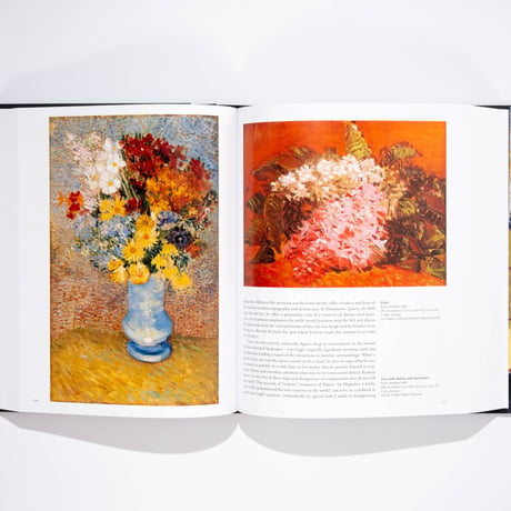 Van Gogh. The Complete Paintings