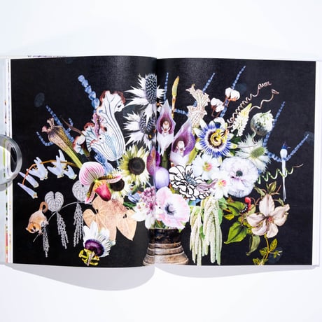 Jane Hammond: Chocolate Cosmos, String of Pearls