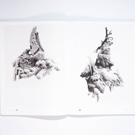 Sabina Timmermans – Sharing the Land — Notes on Nature