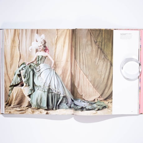 Marie Antoinette Style