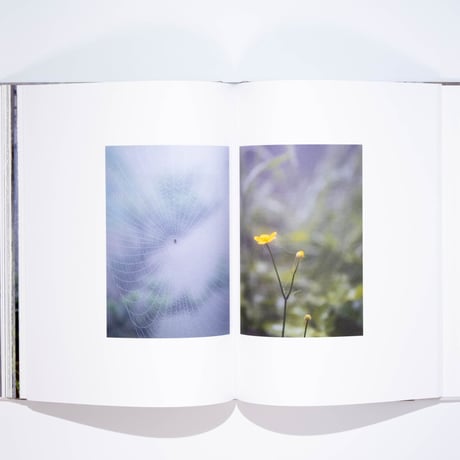 Ben Thorp Brown - Cura’s Garden
