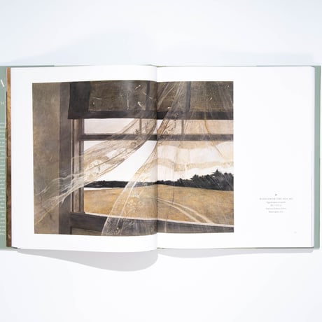 Andrew Wyeth: The Masterworks