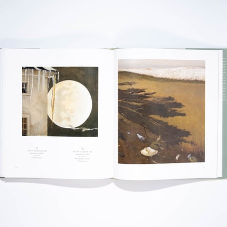 Andrew Wyeth: The Masterworks