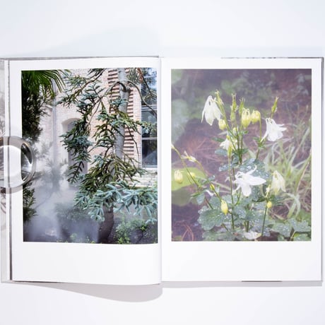 Ben Thorp Brown - Cura’s Garden