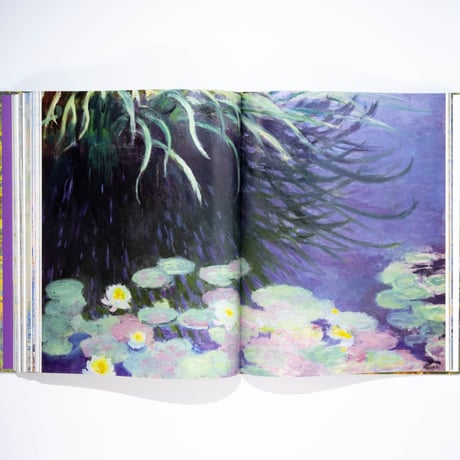 Monet: Beyond the Horizon