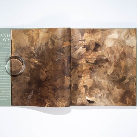 Andrew Wyeth: The Masterworks