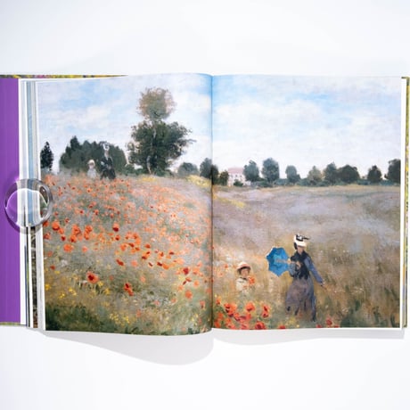 Monet: Beyond the Horizon
