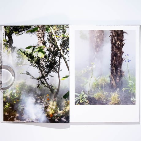 Ben Thorp Brown - Cura’s Garden