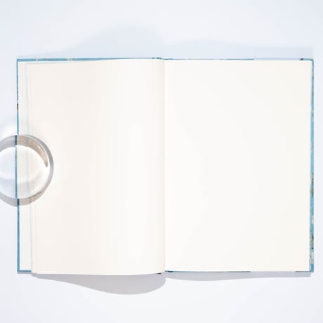 Artists' Sketchbook: Van Gogh Almond Blossom