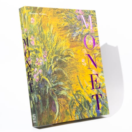 Monet: Beyond the Horizon