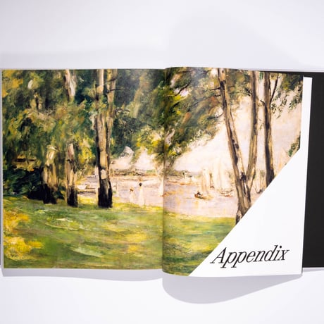 Cassirer and the Breakthrough of Impressionism
