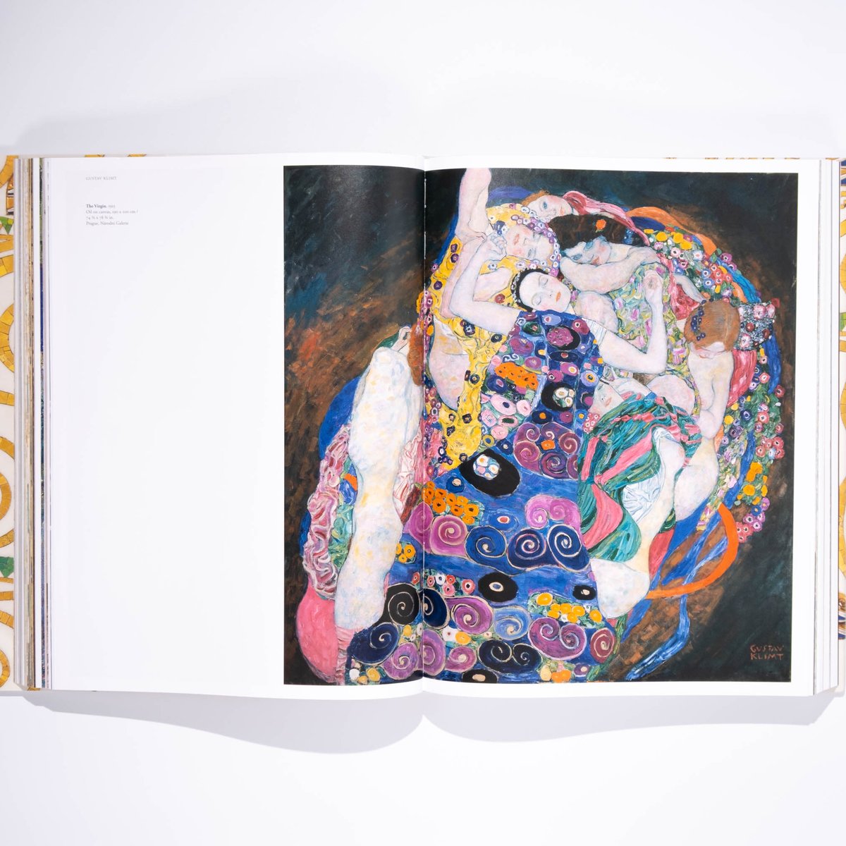 Gustav Klimt アートブック　クリムト Gustav Klimt. The Complete Paintings | Art Book
