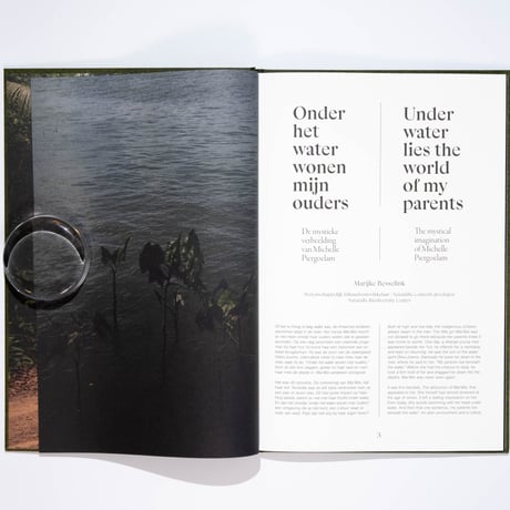 Michelle Piergoelam – Fourteen Leaves and a Cup of Water