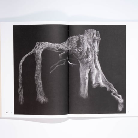 Sabina Timmermans – Sharing the Land — Notes on Nature