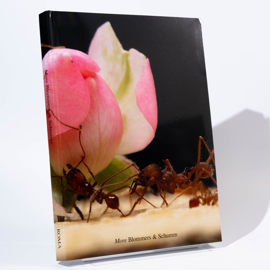 6abab4d3e3cd93ec153a9c1d