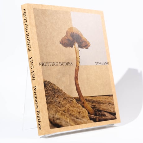 Ying Ang – Fruiting Bodies
