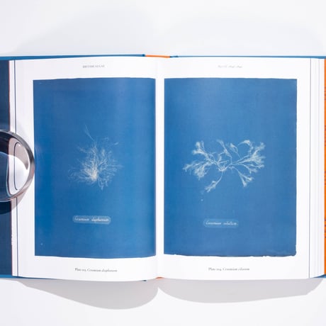 Anna Atkins. Cyanotypes. 45th Ed.