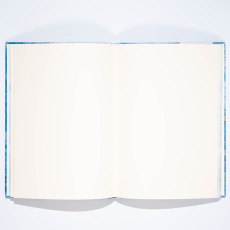 Artists' Sketchbook: Monet Water Lilies