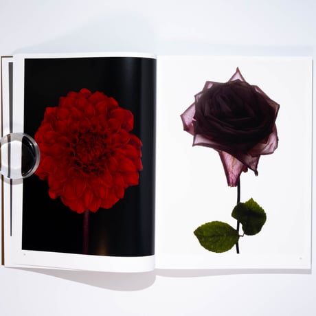 Blommers & Schumm - More