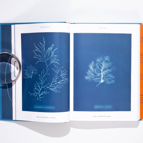 Anna Atkins. Cyanotypes. 45th Ed.