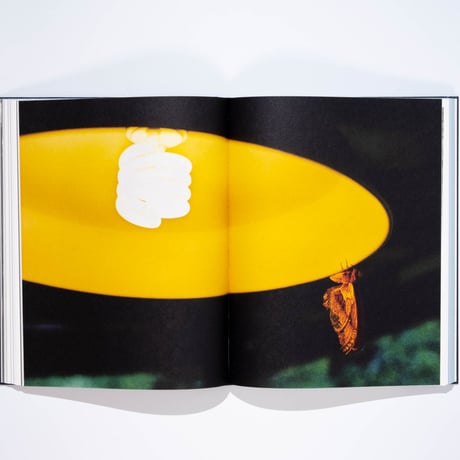 Sanne Peper - Slowtime, Alabama