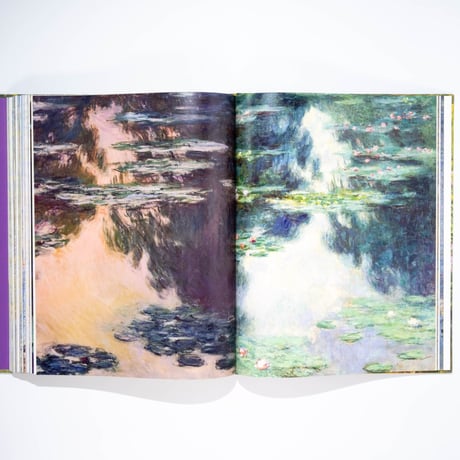 Monet: Beyond the Horizon