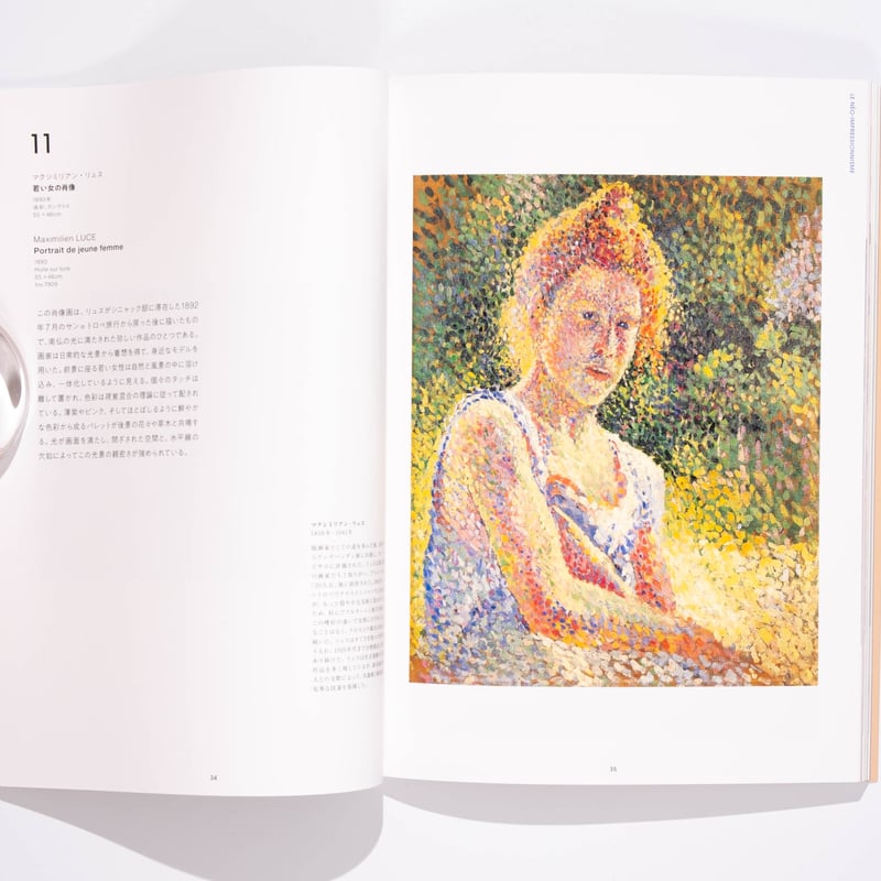 根付図録 専門書 The Baur Collection スイス バウアー 美術 スイス プチ・パレ美術館展 図録 | Art Book Iskusstvo