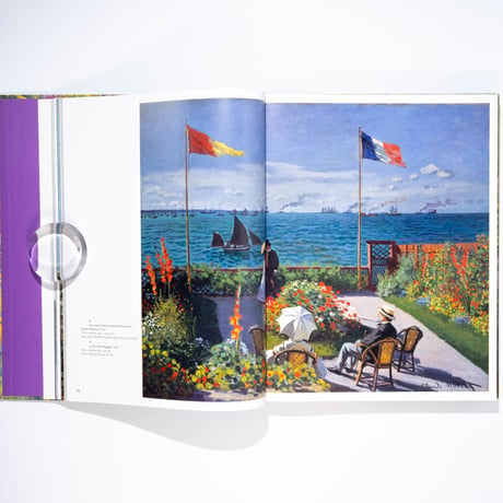Monet: Beyond the Horizon