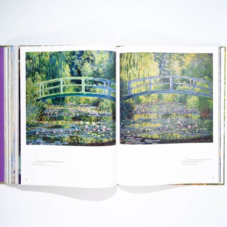 Monet: Beyond the Horizon