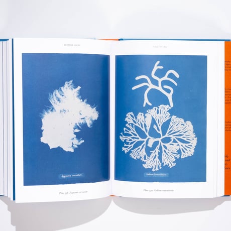 Anna Atkins. Cyanotypes. 45th Ed.
