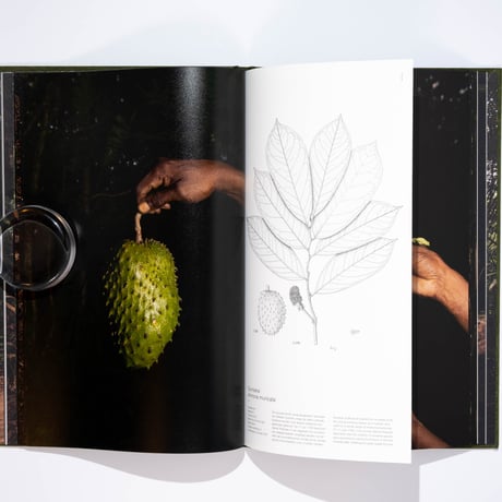 Michelle Piergoelam – Fourteen Leaves and a Cup of Water