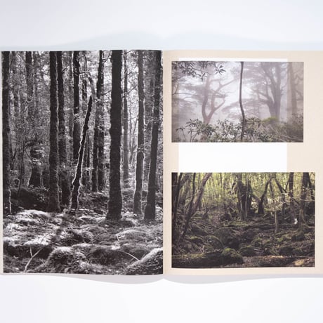 Sabina Timmermans – Sharing the Land — Notes on Nature