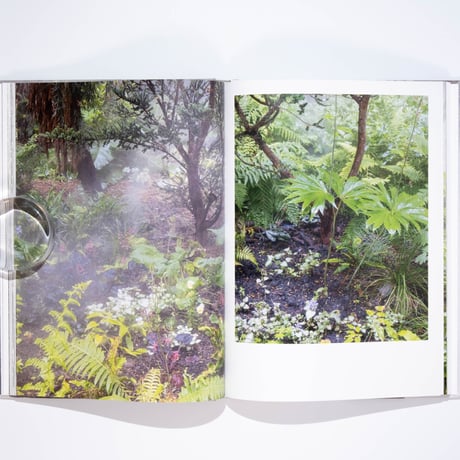 Ben Thorp Brown - Cura’s Garden