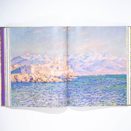 Monet: Beyond the Horizon