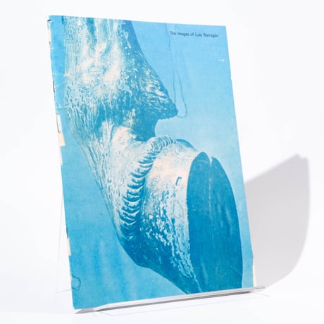 The Images of Luis Barragán