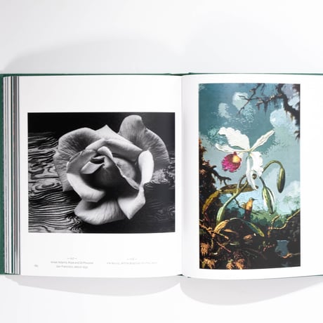 Gardens and Imagination