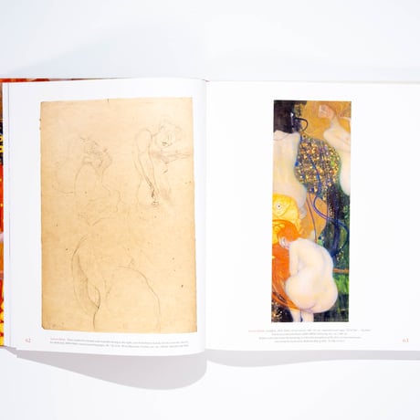 Gustav Klimt and Medicine: The Flow of Life