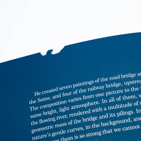 【Outlet】Monet: The Bigger Picture