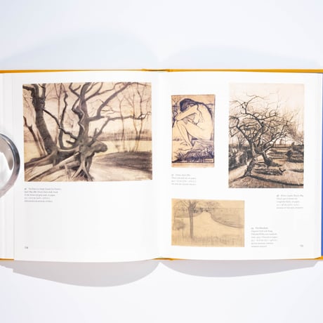 The Drawings of Vincent van Gogh