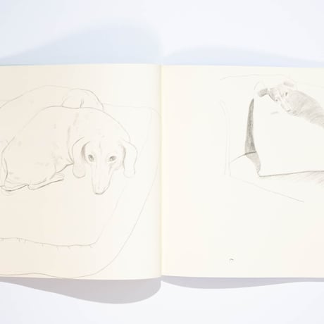 David Hockney's Dog Days