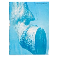The Images of Luis Barragán