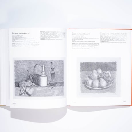 The Morandi Museum: Catalogue Raisonné