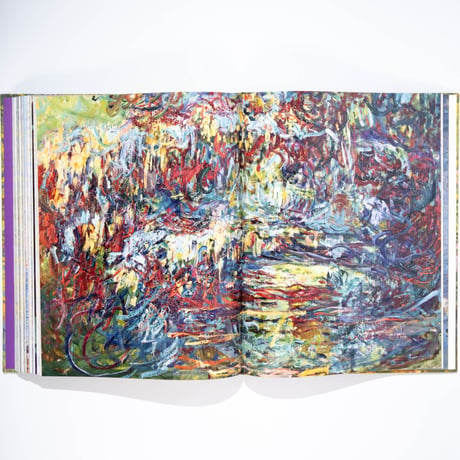 Monet: Beyond the Horizon